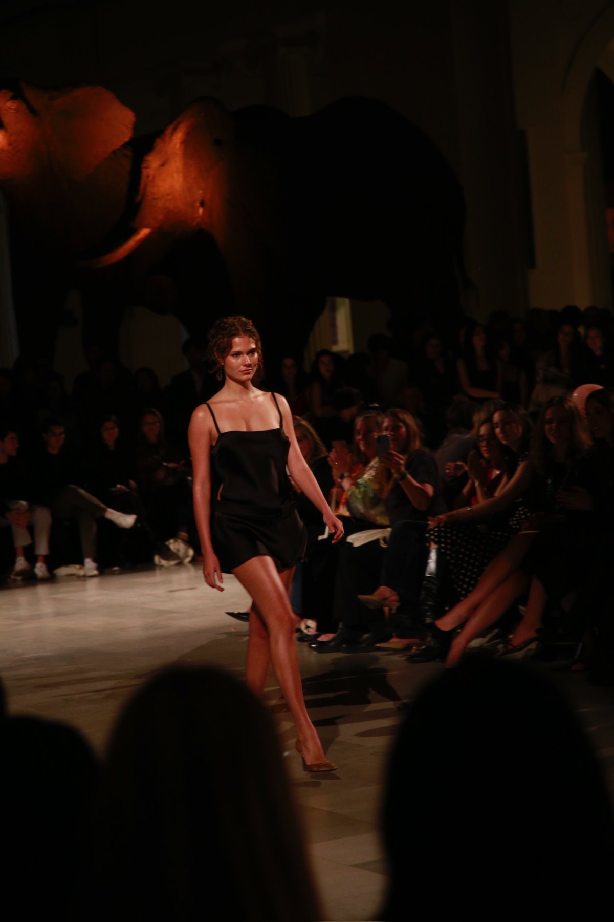 MODA Specimen 2026 — black slip dress, photographed against the elephants at the Field Museum
